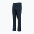 Vyriškos softshell kelnės REGATTA Geo Softshell navy 9
