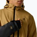 Vyriška slidinėjimo striukė Dare2B Halfpipe IV Jacket wood brown/black 5