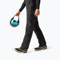 Vyriškos slidinėjimo kelnės Dare 2b Baseplate Insulated Pant black 4