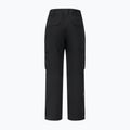 Vyriškos slidinėjimo kelnės Dare 2b Baseplate Insulated Pant black 11
