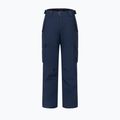 Vyriškos slidinėjimo kelnės Dare 2b Baseplate Insulated Pant navy 9