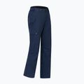 Vyriškos slidinėjimo kelnės Dare 2b Baseplate Insulated Pant navy 11