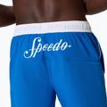 Vyriški maudymosi šortai Speedo Jetstream Retro Logo Volley 16" 8-005082002 Turkish Sea 6