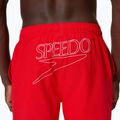 Vyriški maudymosi šortai Speedo Classic Logo Volley 16" high risk red 6