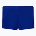 Berniukų maudymosi trumpikės Speedo Medley Logo Aquashort night watch/Hhyper teal 2
