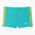 Vyriškos plaukimo trumpikės Speedo Colorblock Aquashort aqua breeze