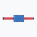 Atsparumo juosta Speedo Aquatic Fitness Belt speedo blue/speedo red 2