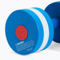 Aqua aerobikos hanteliai Speedo Aquatic Fitness Dumbbell 2 pack Speedo Blue/White 2