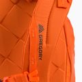 Gregory Alpinisto 28 l alpinistinė kuprinė oranžinė 02J*86055 5