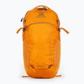 Gregory Nano 18 l miesto kuprinė orange 111498 2