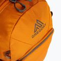 Gregory Nano 18 l miesto kuprinė orange 111498 4