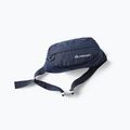 Rankinė ant juosmens Gregory Nano Waistpack bright navy 11