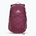 Turistinė kuprinė Gregory Kiro 22 l amethyst purple