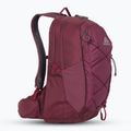 Turistinė kuprinė Gregory Kiro 22 l amethyst purple 2