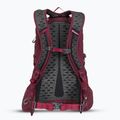 Turistinė kuprinė Gregory Kiro 22 l amethyst purple 3
