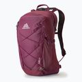 Turistinė kuprinė Gregory Kiro 22 l amethyst purple 6