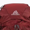 Gregory Baltoro MD 65 l trekingo kuprinė bordo spalvos 142440 3