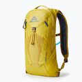 Turistinė kuprinė Gregory Pace 6 l H2O mineral yellow