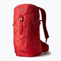 Gregory vyriška turistinė kuprinė Miko 30 l raudona 145277 6