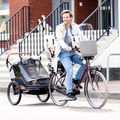 Dviračių priekaba bobike Moobe pilka 16