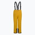 Vaikiškos slidinėjimo kelnės LEGO Lwpowai 708 yellow 11010168