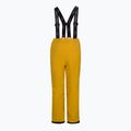 Vaikiškos slidinėjimo kelnės LEGO Lwpowai 708 yellow 11010168 2