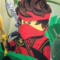 Vaikiški trekingo marškinėliai LEGO Lwtaylor 324 mėlyni 12010795 3