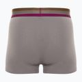 Vyriškos trumpikės CR7 Basic Trunk 3 pary 704 multicolour 5