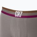 Vyriškos trumpikės CR7 Basic Trunk 3 pary 704 multicolour 6
