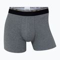 Vyriškos trumpikės CR7 Basic Trunk 10 porų multicolur 10