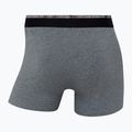 Vyriškos trumpikės CR7 Basic Trunk 10 porų multicolur 11