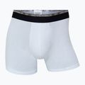 Vyriškos trumpikės CR7 Basic Trunk 10 porų multicolur 12