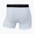 Vyriškos trumpikės CR7 Basic Trunk 10 porų multicolur 13
