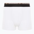 Vyriškos trumpikės CR7 Basic Trunk 10 porų multicolur 2