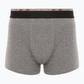 Vyriškos trumpikės CR7 Basic Trunk 10 porų multicolur 3