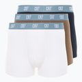 Vyriškos trumpikės CR7 Basic Trunk 3 poros 712 multicolour