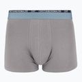 Vyriškos trumpikės CR7 Basic Trunk 5 poros 2412 multicolur 4
