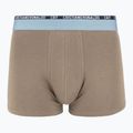 Vyriškos trumpikės CR7 Basic Trunk 5 poros 2412 multicolur 6