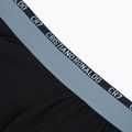 Vyriškos trumpikės CR7 Basic Trunk 5 poros 2412 multicolur 8