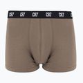 Vyriškos trumpikės CR7 Basic Trunk 5 poros 2414 multicolur 3