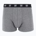 Vyriškos trumpikės CR7 Basic Trunk 5 poros 2414 multicolur 4