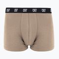 Vyriškos trumpikės CR7 Basic Trunk 5 poros 2414 multicolur 5