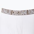 Vyriškos trumpikės CR7 Basic Trunk 3 poros 2764 multicolour 5