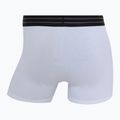 Vyriškos trumpikės CR7 Basic Trunk 7 by 2815 multicolor 8