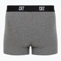 Vyriškos trumpikės CR7 Basic Trunk 3 poros multicolour 5