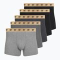 Vyriškos trumpikės CR7 Basic Trunk 5 pack multicolour