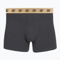 Vyriškos trumpikės CR7 Basic Trunk 5 pack multicolour 4