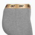 Vyriškos trumpikės CR7 Basic Trunk 5 pack multicolour 6