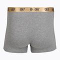 Vyriškos trumpikės CR7 Basic Trunk 5 pack multicolour 7