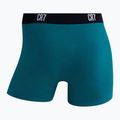 Vyriškos trumpikės CR7 Basic Trunk 7 by 2820 multicolor 10